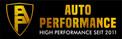 Logo Auto Performance